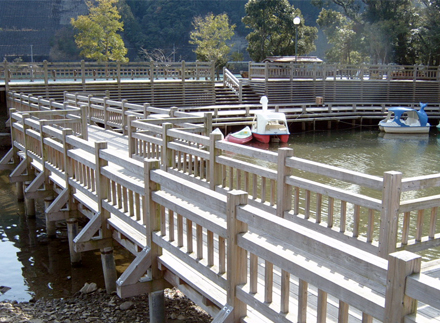 ����ľ��Ԕ����B