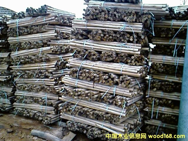 ��ľľо��Ԕ��(x��)��B