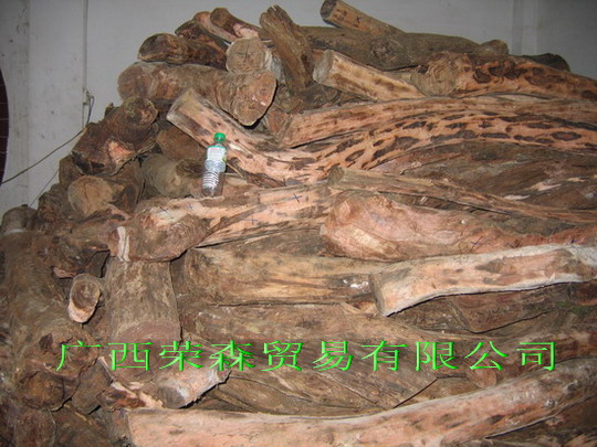 ����ľԭľ��Ԕ��(x��)��B