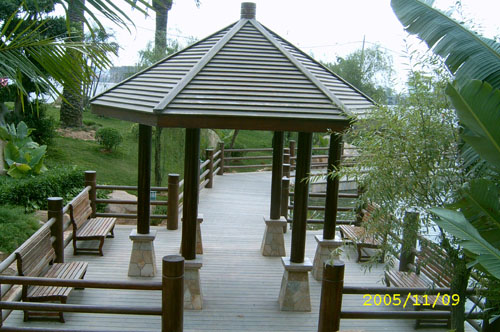 ����ľ��ͤ��Ԕ����B