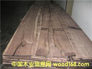 ����Ԕ��(x��)��B