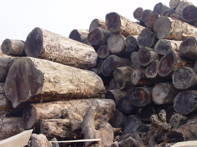 �S���ľ��Ԕ��(x��)��B