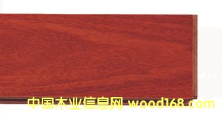 ľ����Ʒ��������Ƭ�ĵ�Ԕ����B