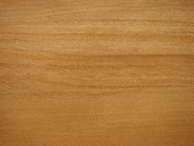 �����ذ��Ԕ��(x��)��B