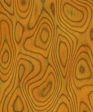 ��ľ�����Ԕ��(x��)��B