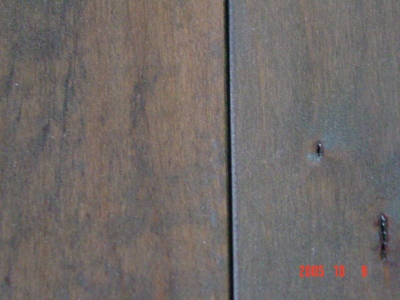 ����WOCA ���aā�ӷ۵�Ԕ��(x��)��B