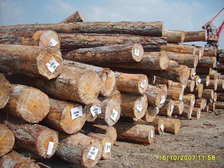 ݗ���ɵ�Ԕ��(x��)��B