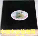 ���O�ܽ�����ˮģ���Ԕ����B