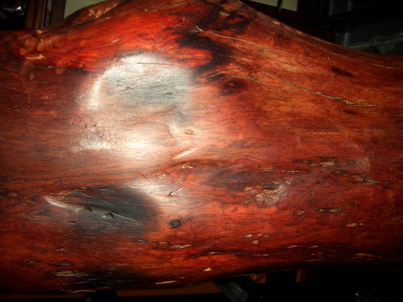 �ϓ�t��֦��Ԕ��(x��)��B