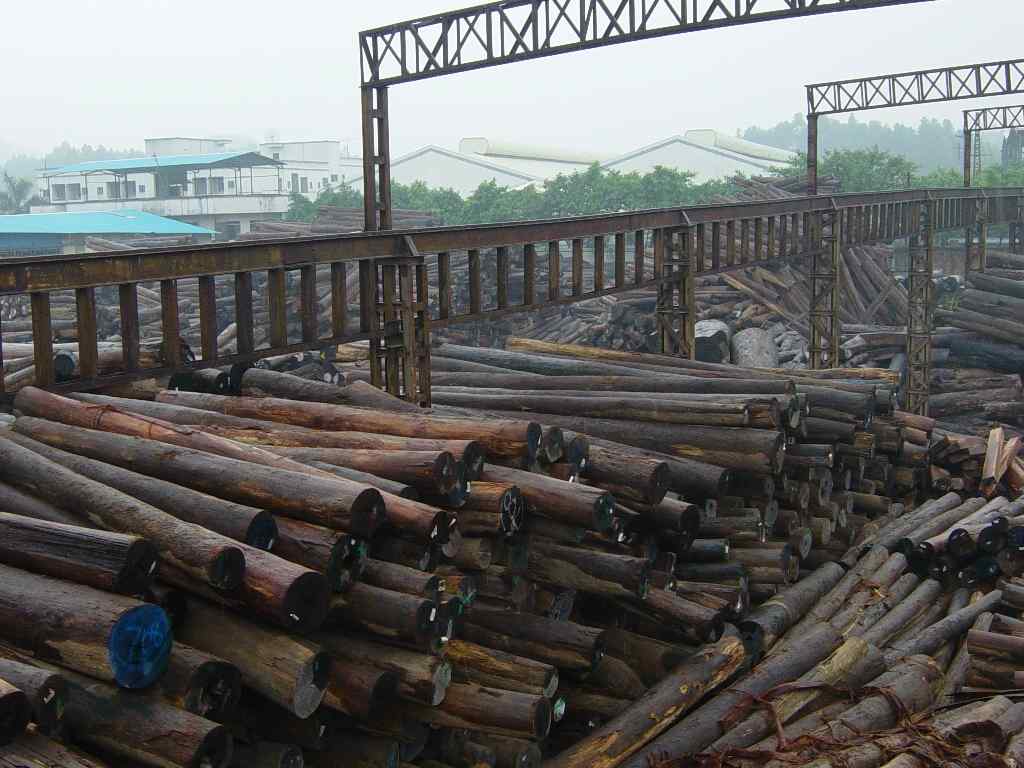 ���޼t��ԭľ��Ԕ��(x��)��B