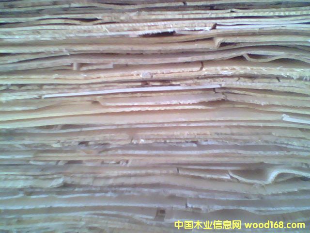 ��ľƤ��Ԕ��(x��)��B