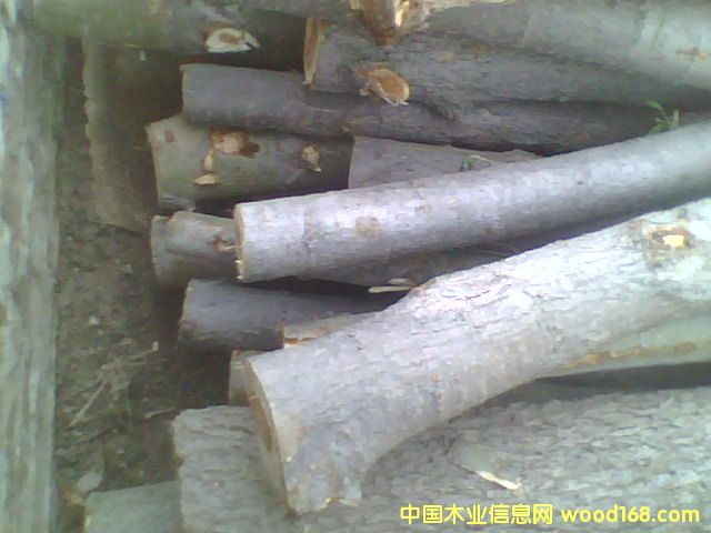 ��ľԭľ��Ԕ��(x��)��B