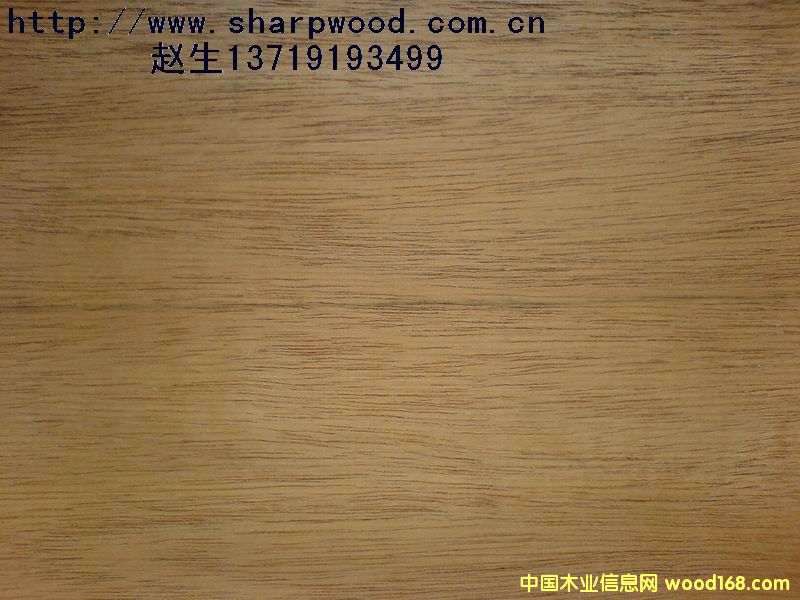 �R����ľƤ��Ԕ��(x��)��B