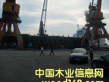 ��ɼԭľ��Ԕ��(x��)��B