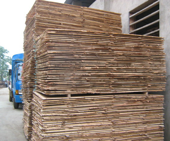 ��(x��)ľ������Ʒ��Ԕ��(x��)��B