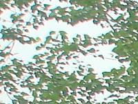 ��ľ��ĵ�Ԕ��(x��)��B