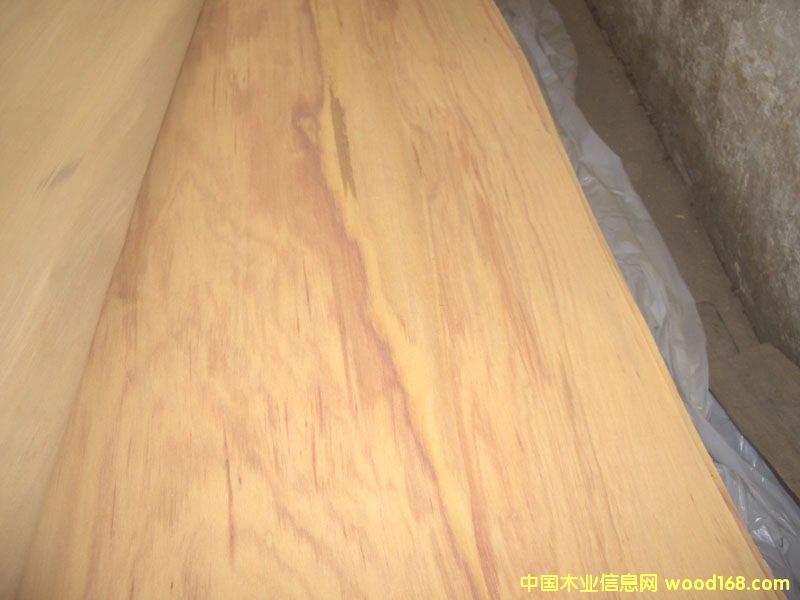 ɽ�𻨆ΰ��Ԕ��(x��)��B