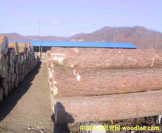 ��ľ����ľ���ľ��Ԕ��(x��)��B