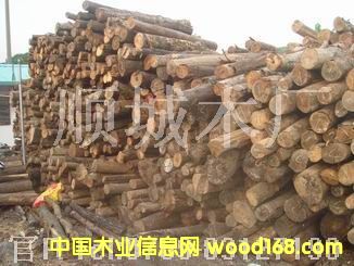 ԭľ�sľ��Ԕ��(x��)��B