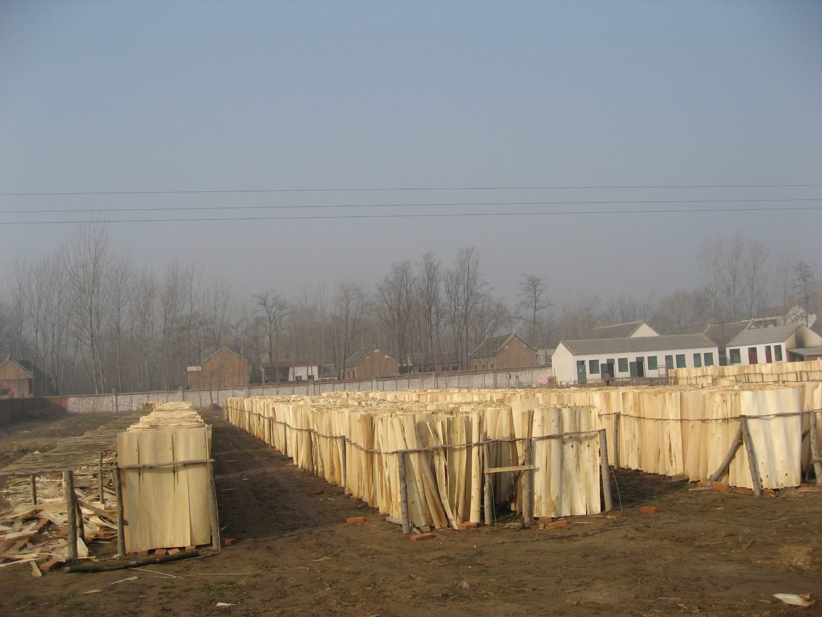 ��ľо�ΰ��Ԕ����B