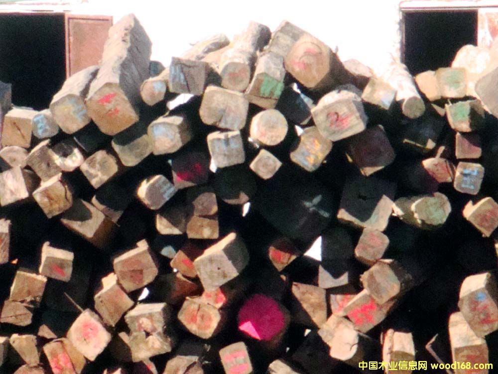 ��֦ľ��Ԕ��(x��)��B