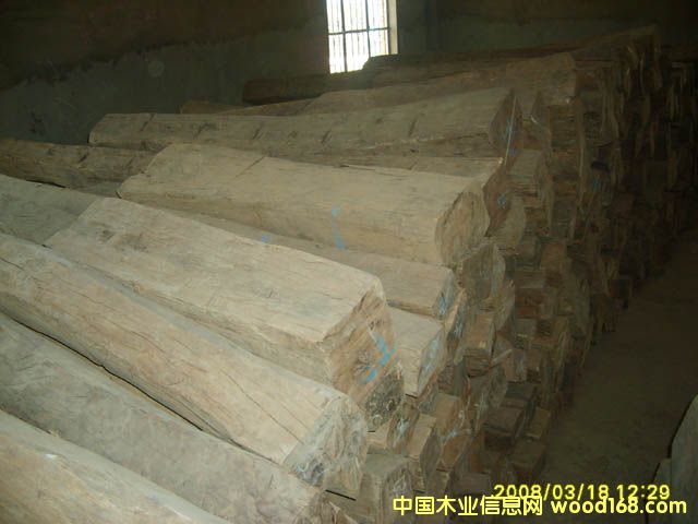 ������֦3��Ԕ����B