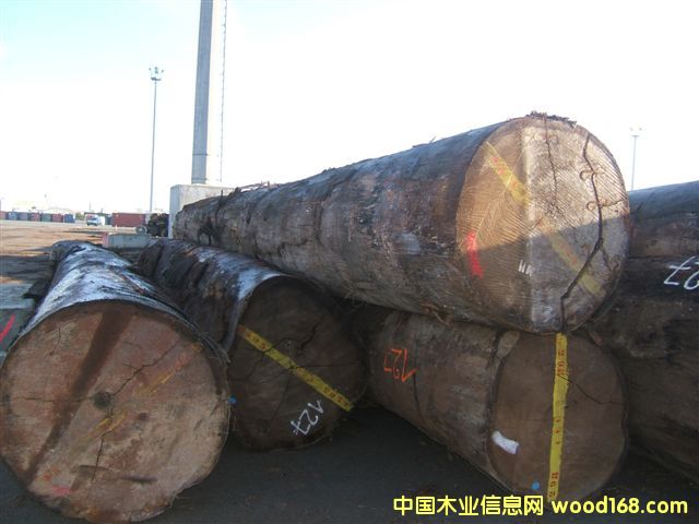 ����(y��ng)�W������Ԕ����B