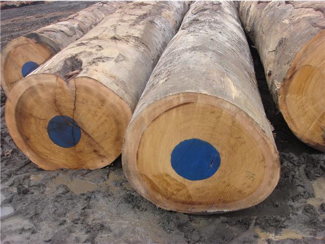 ����R��Ԕ����B