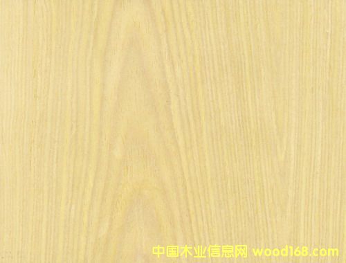 ɽ�y����Ƽ�ľƤ��Ԕ��(x��)��B