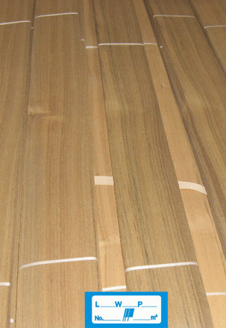 �{(l��n)��ľƤ����NO.9����(y��ng)�M(j��n)��ľƤ����̩��ľƤ��Ԕ��(x��)��B