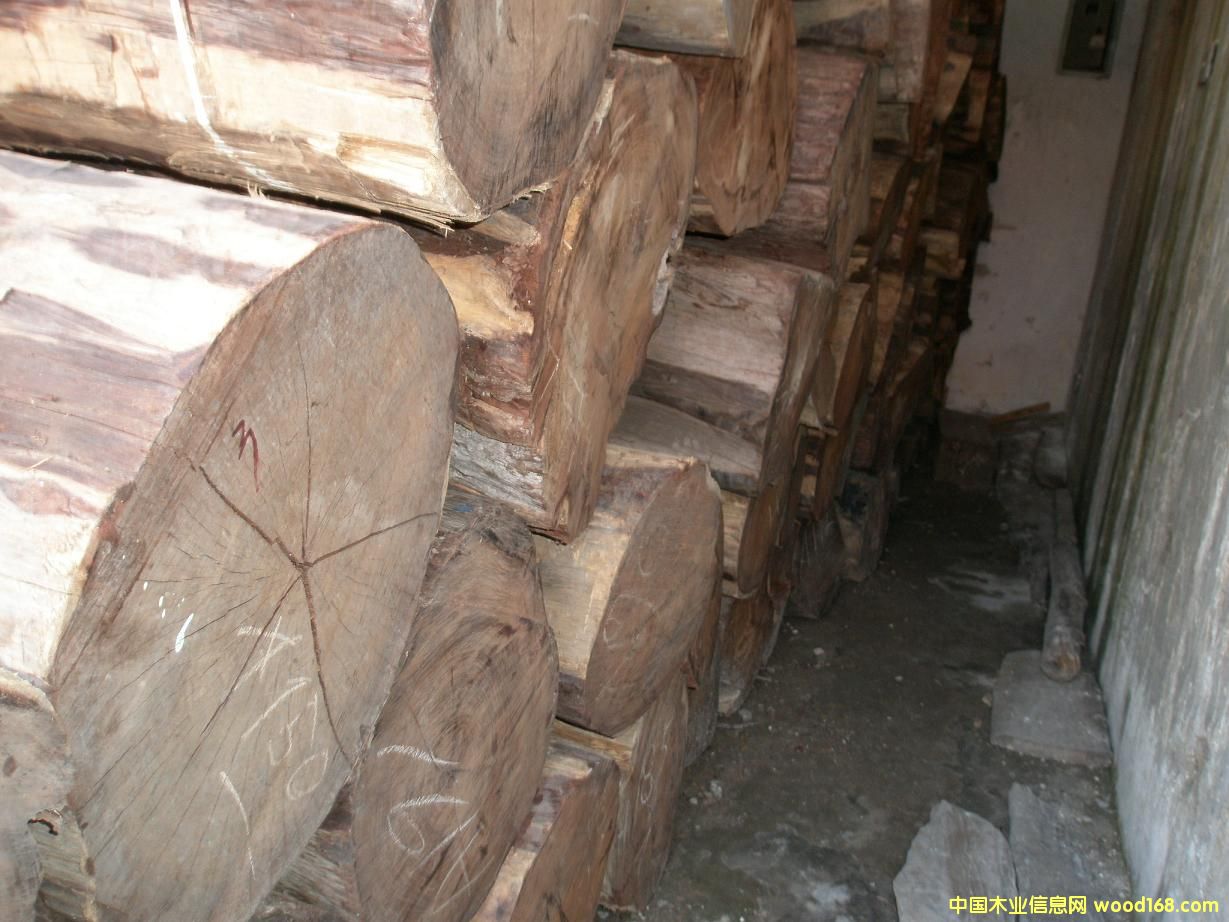 ��t��֦��Ԕ��(x��)��B