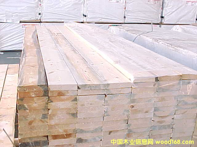 �M(j��n)��ľ��--SPF��Ԕ��(x��)��B