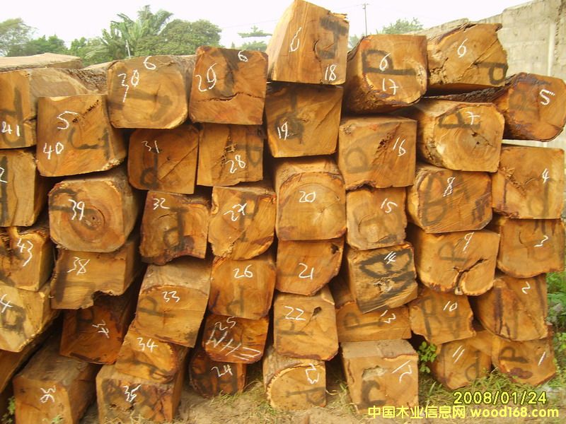 �����S����ľ�ʵ�Ԕ��(x��)��B