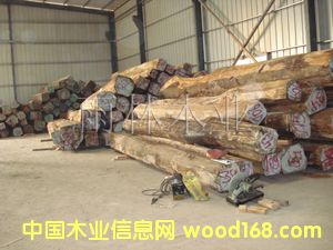 ��ľ��Ԕ��(x��)��B