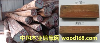 �㻨���Ԕ��(x��)��B