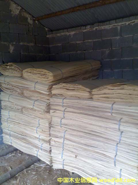 ľƬ��Ԕ��(x��)��B