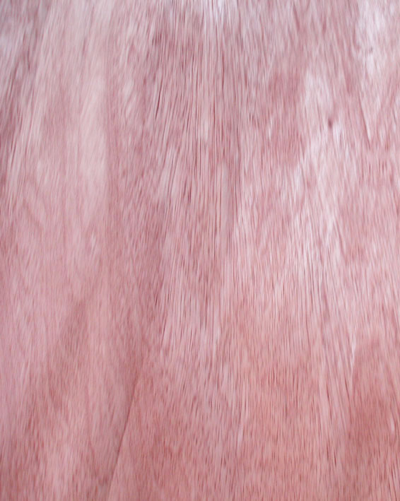 ��ľ��Ԕ����B