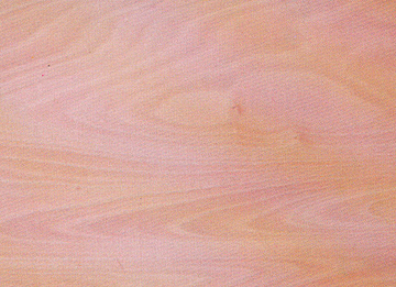 �һ�о��������Ԕ����B