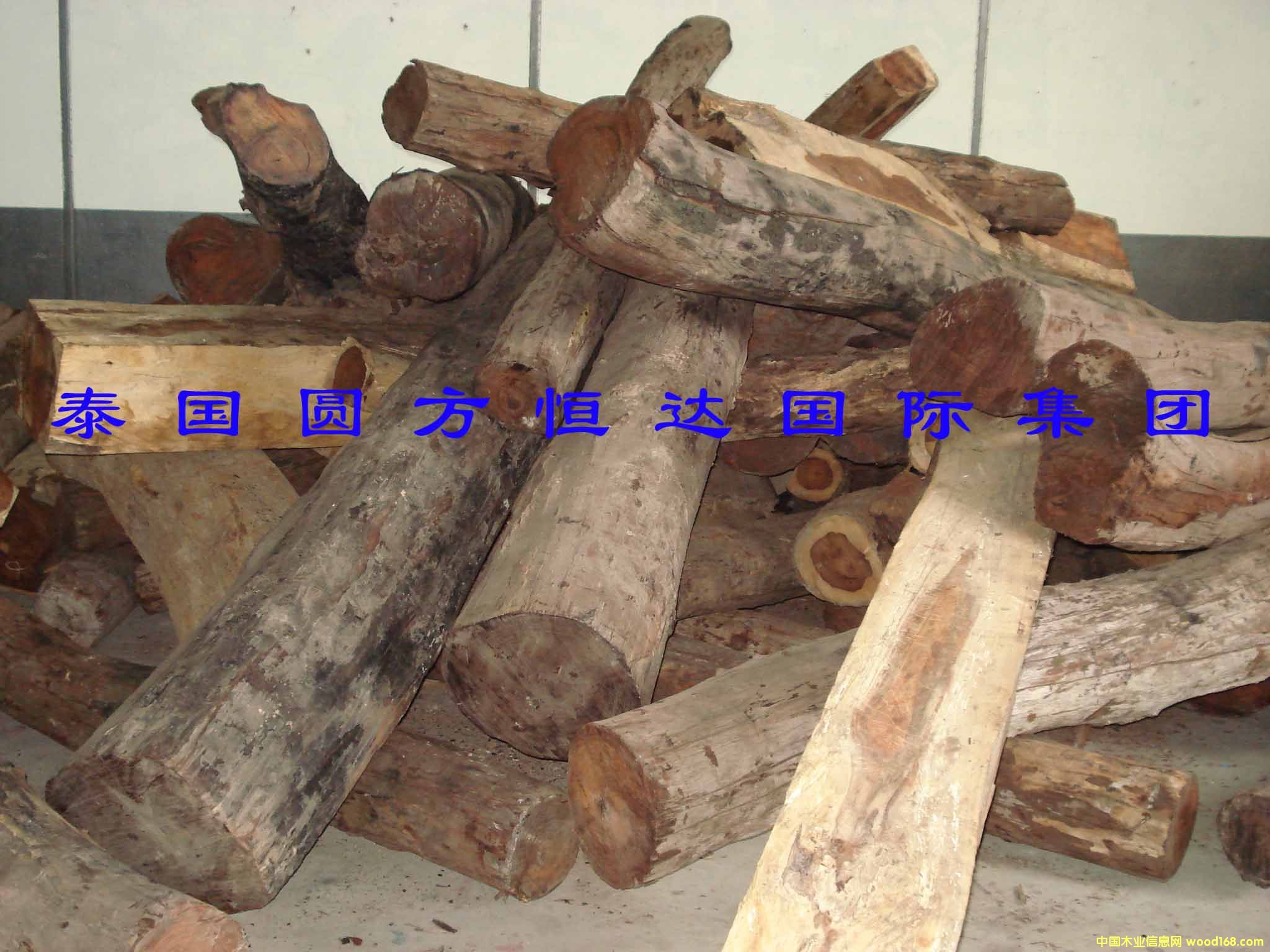 ��t��֦��Ԕ����B