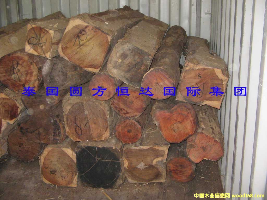 ��t��֦��Ԕ����B