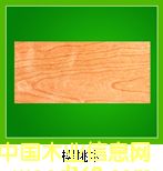 ����ľ��Ԕ��(x��)��B