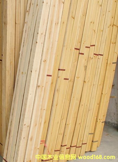 ɼľ����Ԕ��(x��)��B