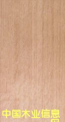 �Pľ-��ľ-ˮ�����ΰ��Ԕ��(x��)��B