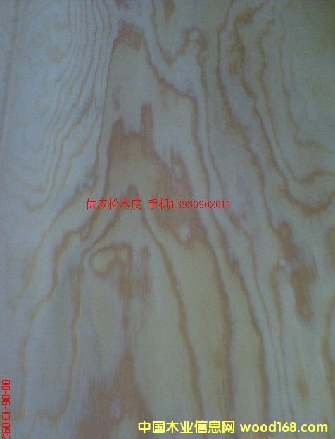 ��ľƤ��Ԕ��(x��)��B