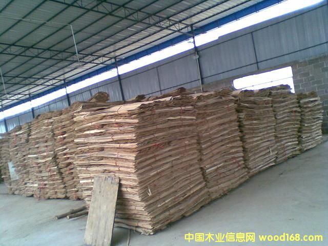 ��ľ�ΰ��Ԕ����B