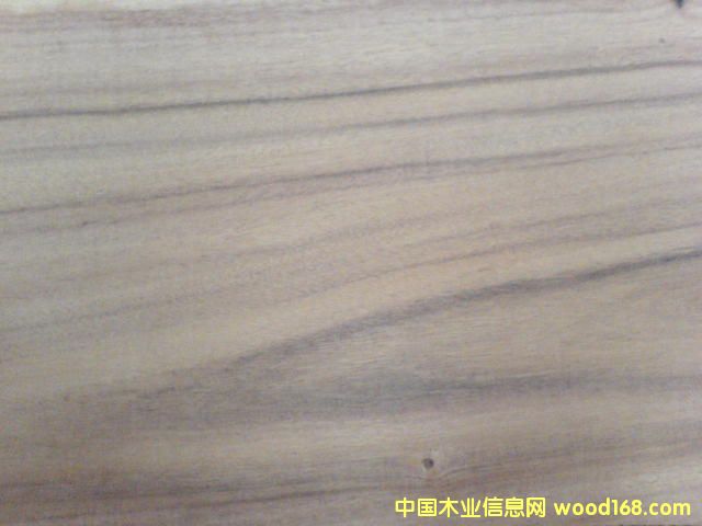 ����ľ��Ԕ��(x��)��B