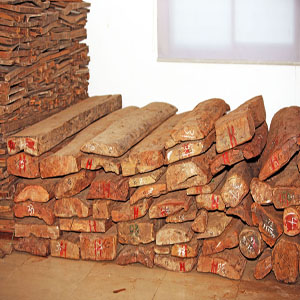 Խ���S����ľ��Ԕ��(x��)��B