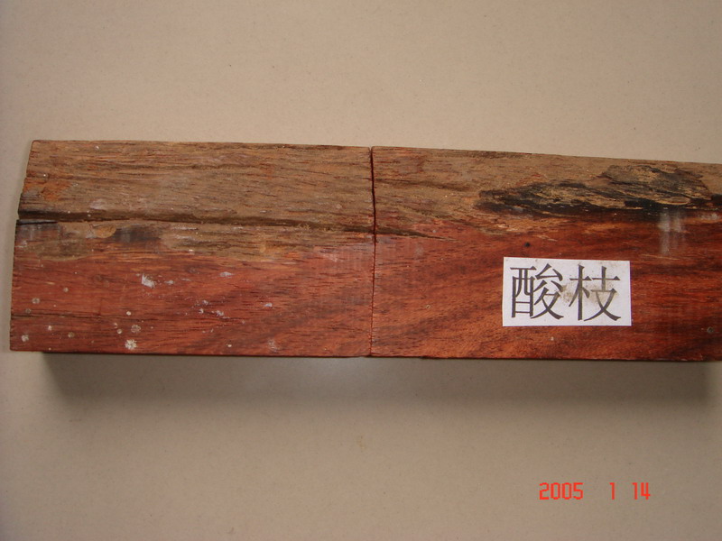 ������֦ľ��Ԕ����B