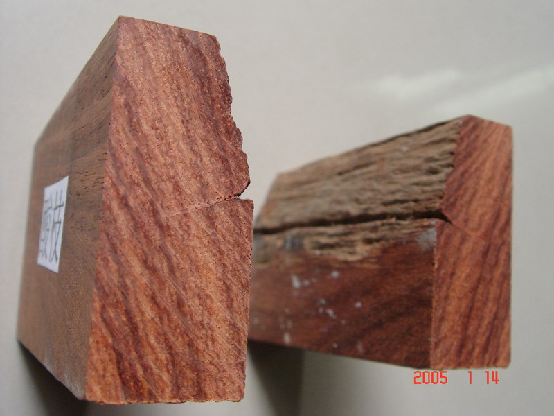 ������֦ľ��Ԕ����B