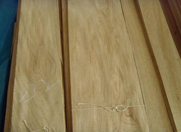 �ľľƤ��Ԕ����B